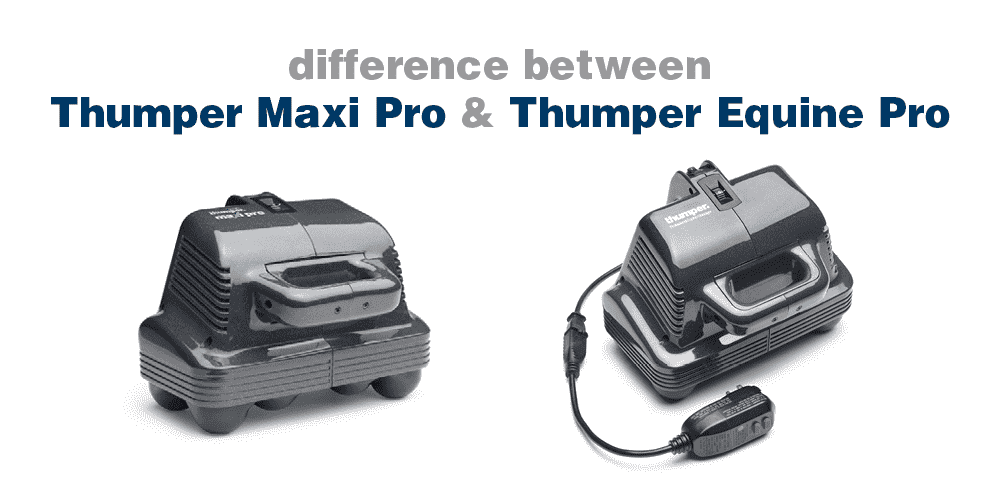 Thumper Maxi Pro & the Thumper Equine Pro