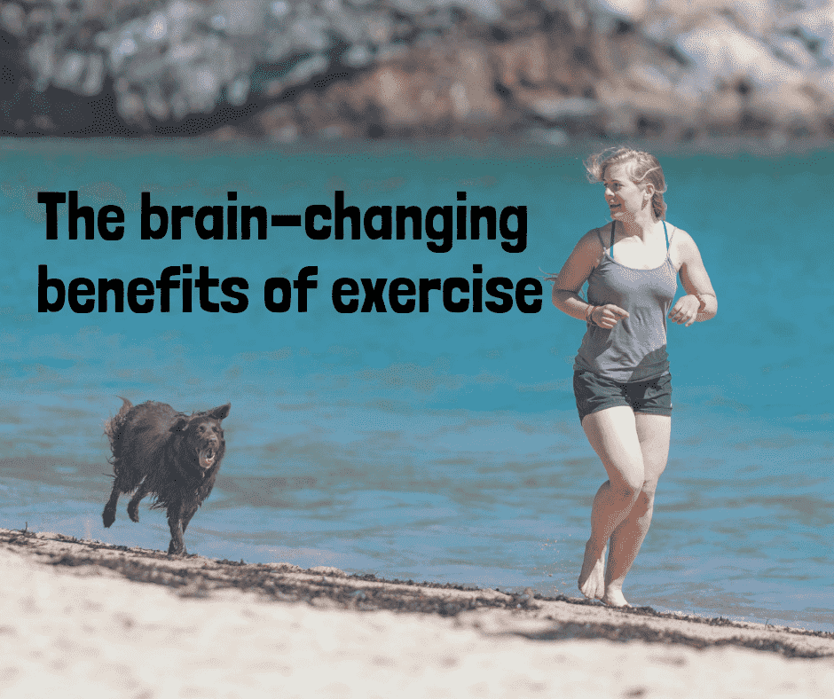 The brain-changing benefits of exercise