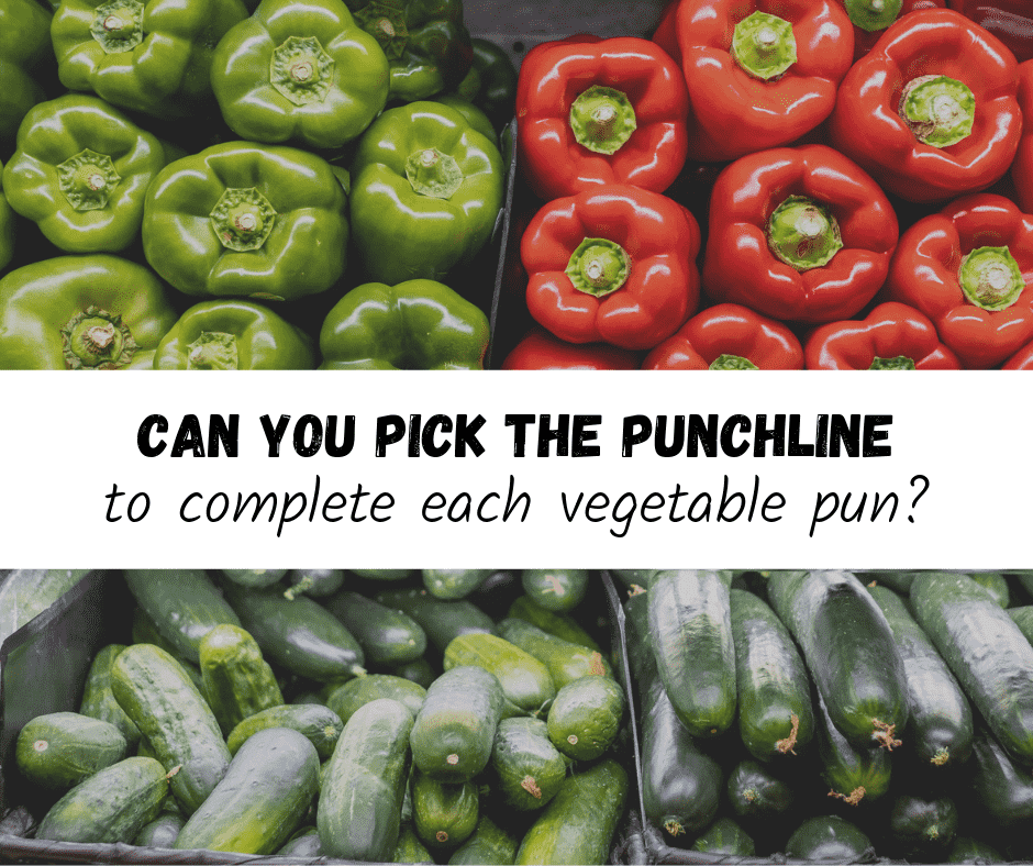 Can you pick the punchline to complete each vegetable pun?