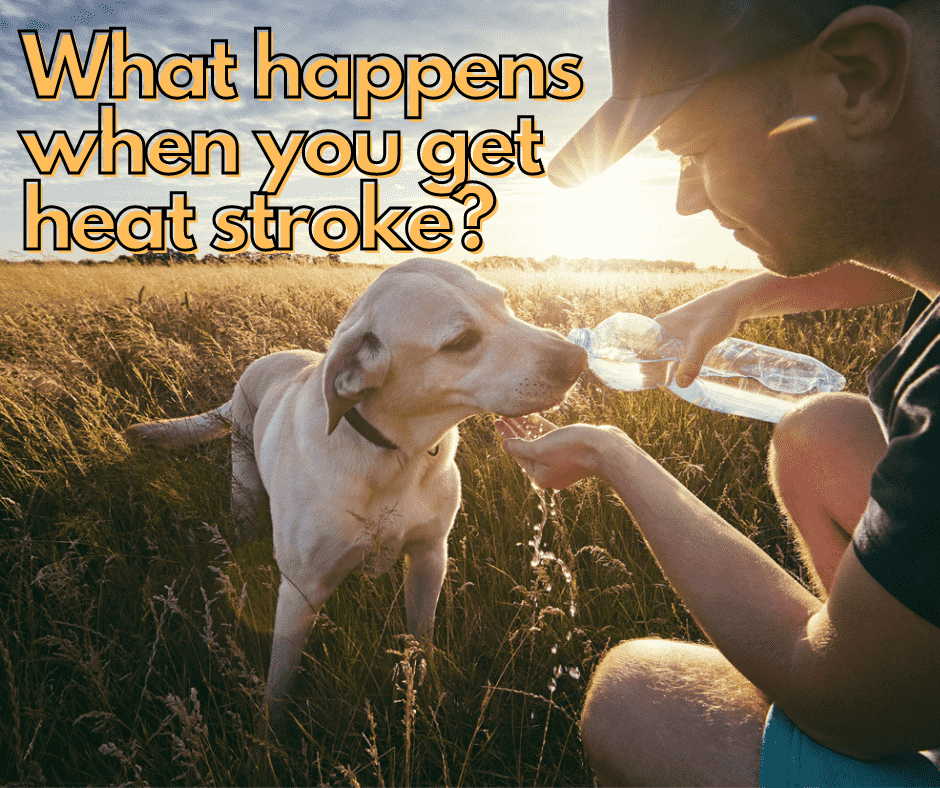 What happens when you get heat stroke?